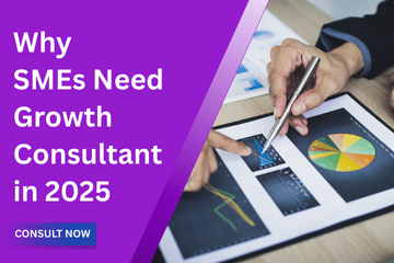 Why Small Businesses Need an SME Growth Consultant in 2025